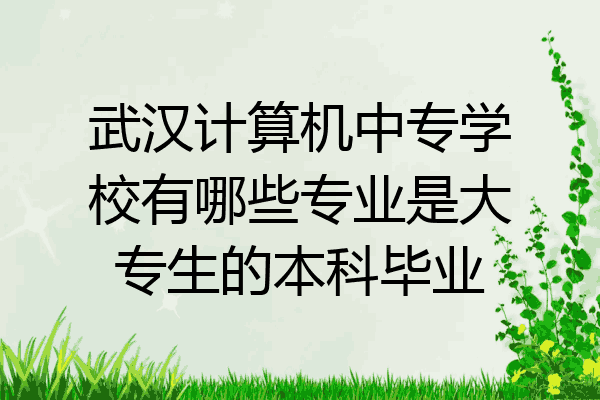 武汉计算机中专学校有哪些专业是大专生的本科毕业