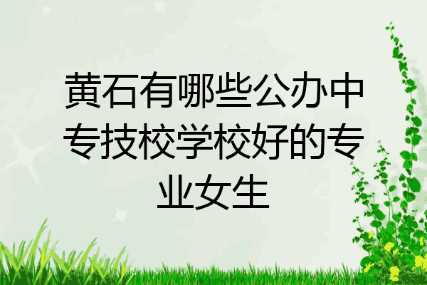 黄石有哪些公办中专技校学校好的专业女生