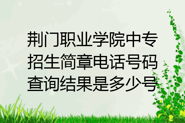 荆门职业学院中专招生简章电话号码查询结果是多少号