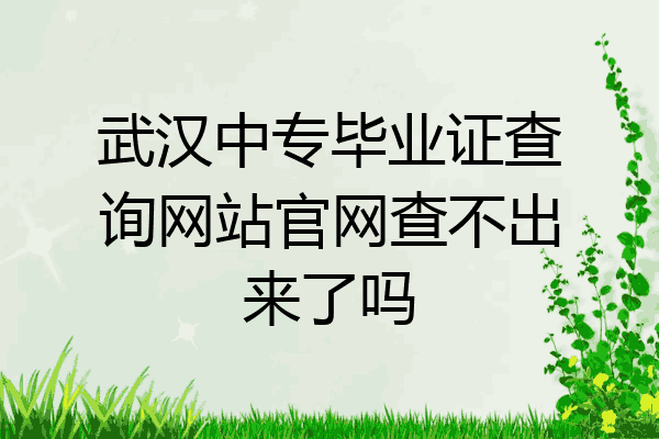 武汉中专毕业证查询网站官网查不出来了吗