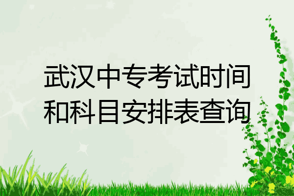 武汉中专考试时间和科目安排表查询