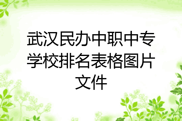 武汉民办中职中专学校排名表格图片文件