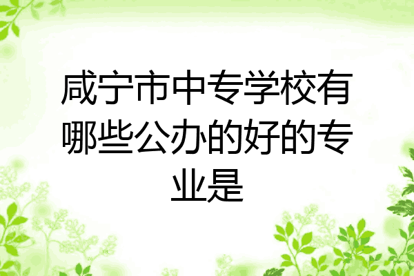 咸宁市中专学校有哪些公办的好的专业是