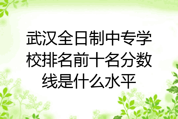 武汉全日制中专学校排名前十名分数线是什么水平