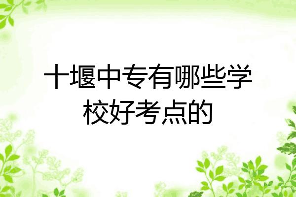 十堰中专有哪些学校好考点的
