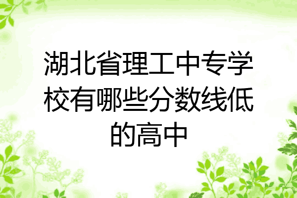 湖北省理工中专学校有哪些分数线低的高中
