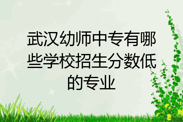 武汉幼师中专有哪些学校招生分数低的专业