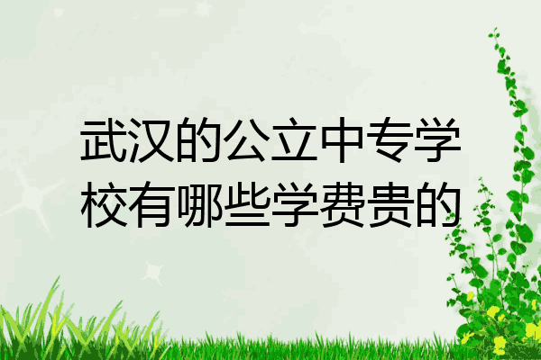 武汉的公立中专学校有哪些学费贵的