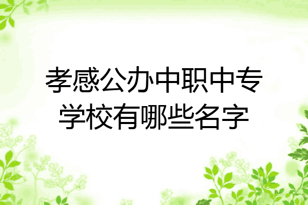 孝感公办中职中专学校有哪些名字