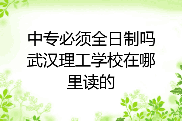 中专必须全日制吗武汉理工学校在哪里读的