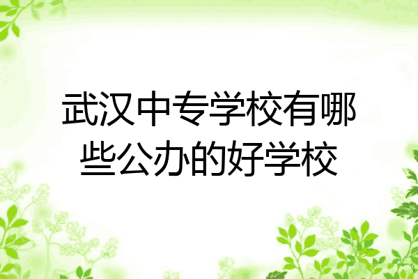 武汉中专学校有哪些公办的好学校