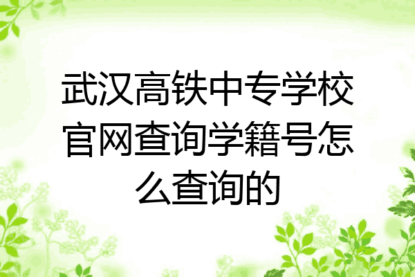 武汉高铁中专学校官网查询学籍号怎么查询的