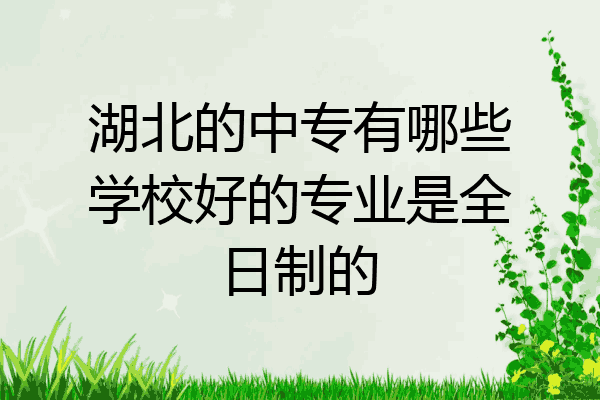 湖北的中专有哪些学校好的专业是全日制的