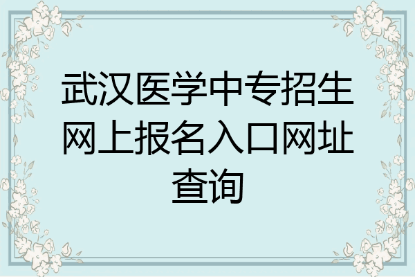 武汉医学中专招生网上报名入口网址查询