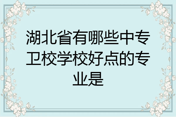湖北省有哪些中专卫校学校好点的专业是