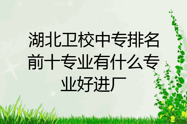 湖北卫校中专排名前十专业有什么专业好进厂