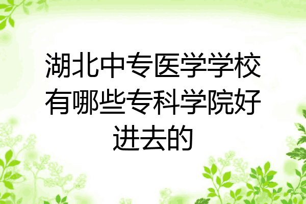 湖北中专医学学校有哪些专科学院好进去的