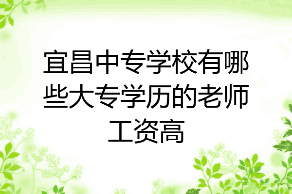宜昌中专学校有哪些大专学历的老师工资高