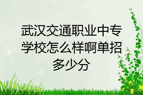 武汉交通职业中专学校怎么样啊单招多少分