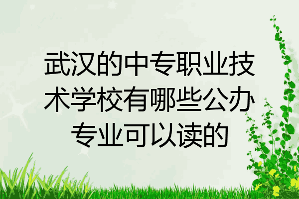 武汉的中专职业技术学校有哪些公办专业可以读的