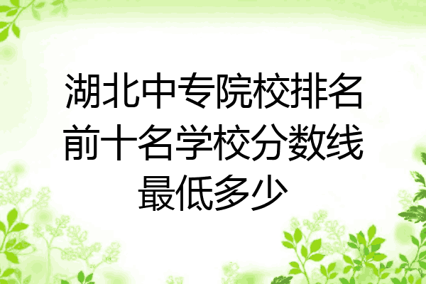湖北中专院校排名前十名学校分数线最低多少