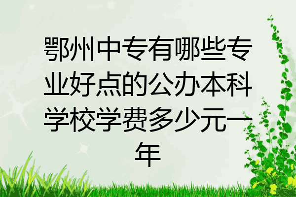 鄂州中专有哪些专业好点的公办本科学校学费多少元一年