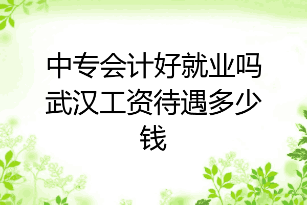中专会计好就业吗武汉工资待遇多少钱
