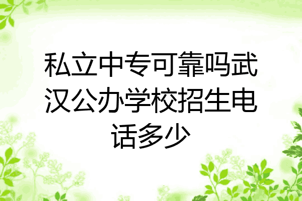 私立中专可靠吗武汉公办学校招生电话多少