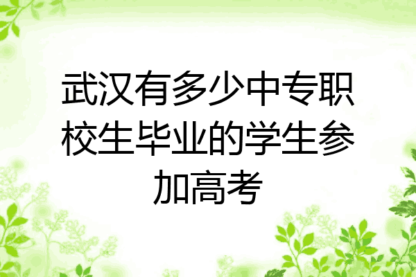 武汉有多少中专职校生毕业的学生参加高考