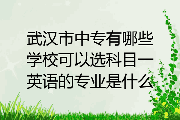 武汉市中专有哪些学校可以选科目一英语的专业是什么