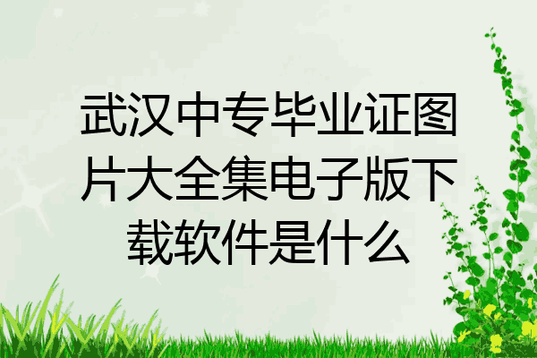 武汉中专毕业证图片大全集电子版下载软件是什么