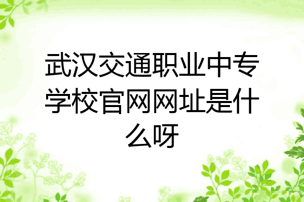 武汉交通职业中专学校官网网址是什么呀