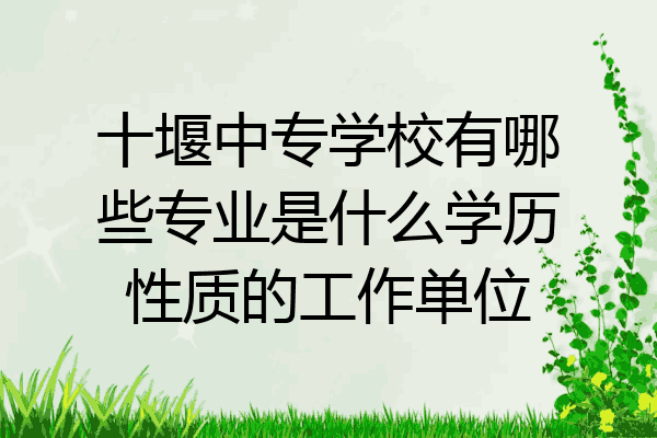 十堰中专学校有哪些专业是什么学历性质的工作单位