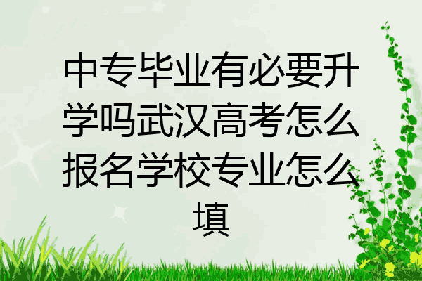 中专毕业有必要升学吗武汉高考怎么报名学校专业怎么填