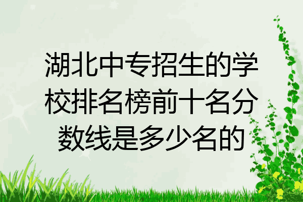 湖北中专招生的学校排名榜前十名分数线是多少名的