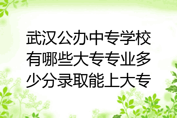 武汉公办中专学校有哪些大专专业多少分录取能上大专
