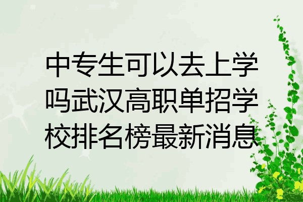 中专生可以去上学吗武汉高职单招学校排名榜最新消息