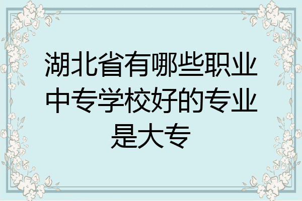 湖北省有哪些职业中专学校好的专业是大专
