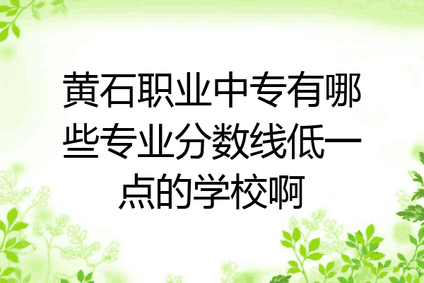 黄石职业中专有哪些专业分数线低一点的学校啊