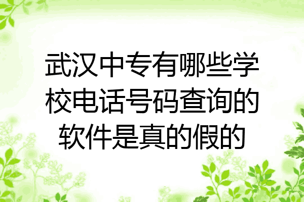 武汉中专有哪些学校电话号码查询的软件是真的假的