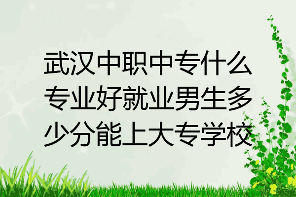 武汉中职中专什么专业好就业男生多少分能上大专学校