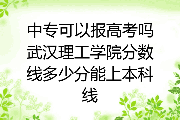 中专可以报高考吗武汉理工学院分数线多少分能上本科线