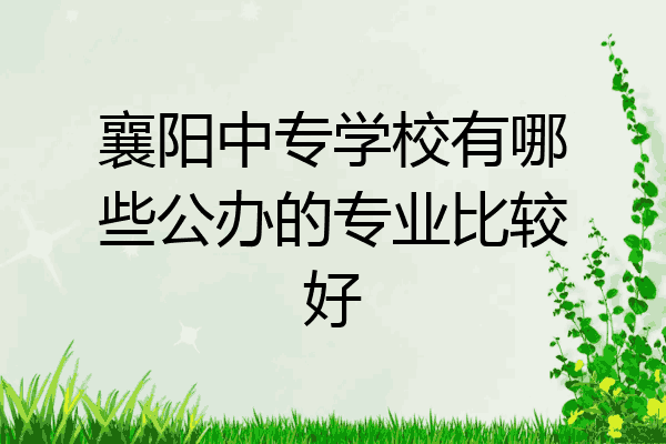 襄阳中专学校有哪些公办的专业比较好