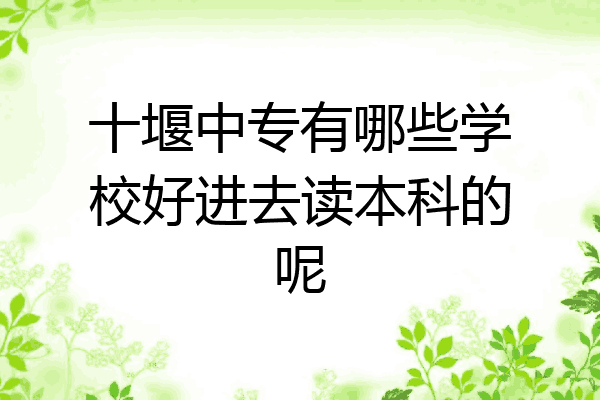 十堰中专有哪些学校好进去读本科的呢