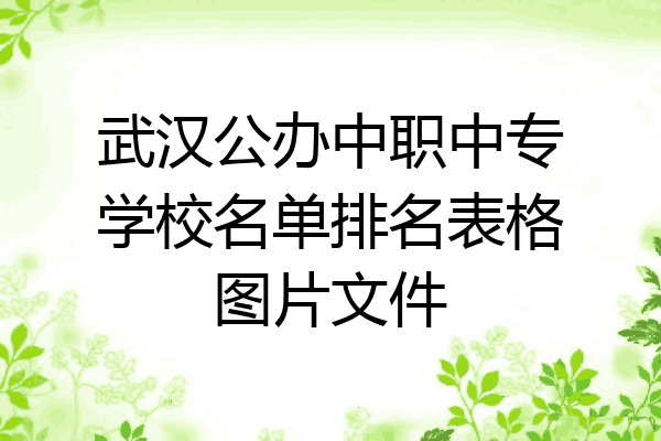武汉公办中职中专学校名单排名表格图片文件