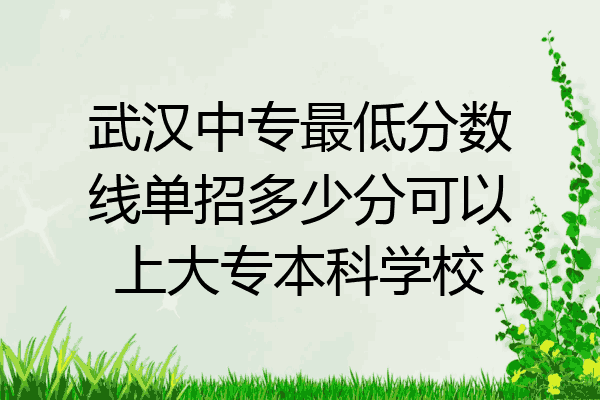 武汉中专最低分数线单招多少分可以上大专本科学校