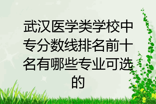 武汉医学类学校中专分数线排名前十名有哪些专业可选的