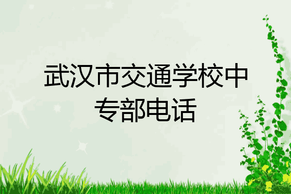 武汉市交通学校中专部电话