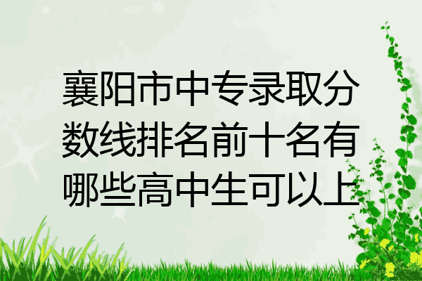 襄阳市中专录取分数线排名前十名有哪些高中生可以上