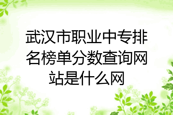 武汉市职业中专排名榜单分数查询网站是什么网